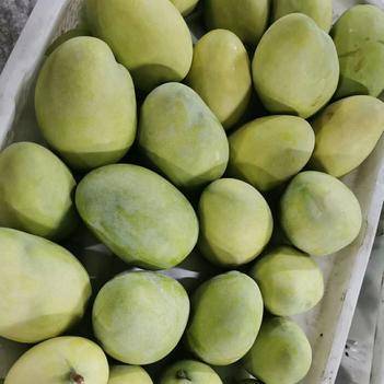 農(nóng)產(chǎn)品批發(fā)供應商楊華 - 惠農(nóng)網(wǎng)電腦版