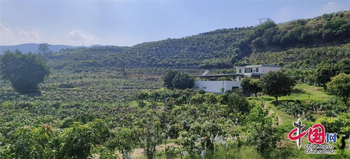 本網原創 中國網