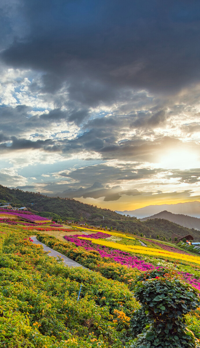 深圳,攀枝花,城市建筑,景觀風光。