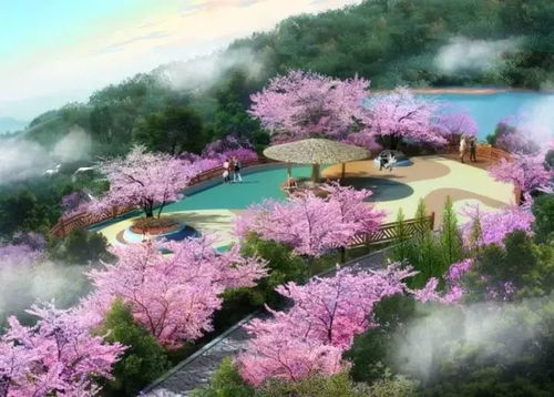 夢(mèng)想著有一面花墻 花廊 來攀枝花吧,款款都讓你沉醉