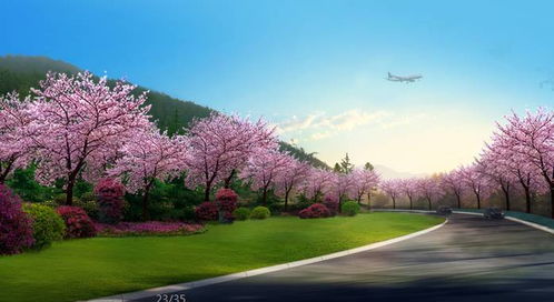 震撼 攀枝花這些地方即將大變樣,漂亮得你認(rèn)不出來(lái)