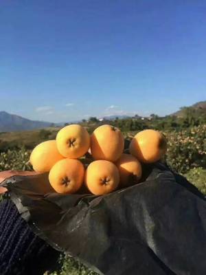 攀枝花新增一個(gè)國家地理標(biāo)志保護(hù)產(chǎn)品，你絕對(duì)吃過！