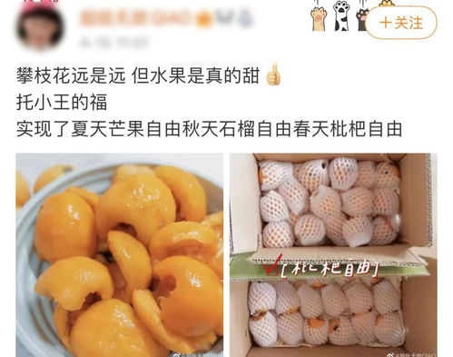 你以為的進(jìn)口熱帶水果，可能都來自'四川小三亞'攀枝花