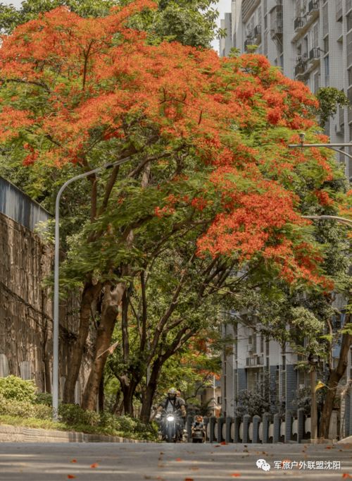 攀枝花 中老年人養(yǎng)生度假的完美旅行清單