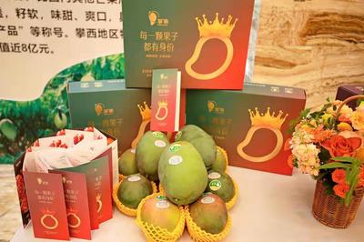 攀枝花再加碼，著力推進(jìn)“九個(gè)一”行動(dòng)，助力“攀果”產(chǎn)業(yè)升級(jí)